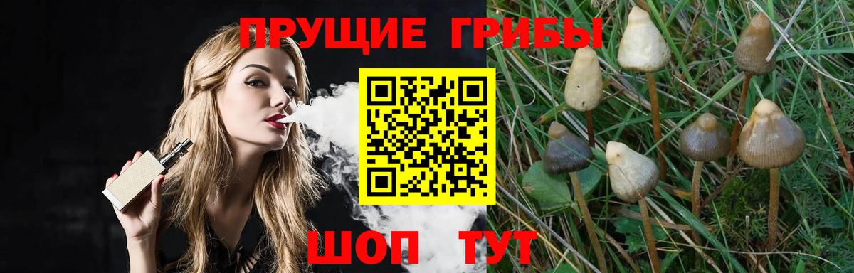 Владимир  Псилоцибиновые грибы ЛСД  Вход с VPN  Псилоцибиновые грибы ЛСД 