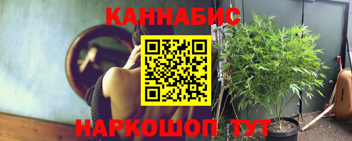 Канабис сатива  Канабис семена  Вход с VPN  Конопля конопля  Каннабис SATIVA & INDICA  Владимир 